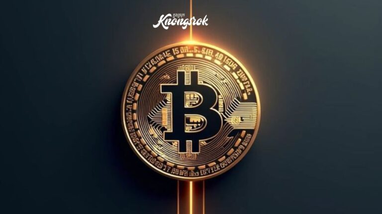Why Has the Bitcoin Market Become Less Volatile? The Influence of Large Investors Replaced by Small Investors 📉