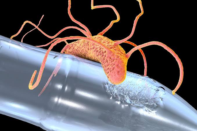 “Pac-Man” Enzyme Eats Bioplastic and Also Cuts Penicillin, Konstanz Team Reports